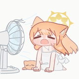 cat fan