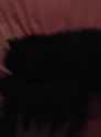 InShot_20250622_013433516_thumb.jpg