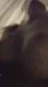 1750571943465587_thumb.jpg