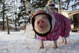 dressing up nice for Jim-Bob