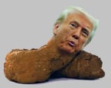 trump turd