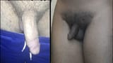 1750605887853