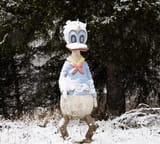 donald