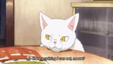 Akari&#039;s 4th Cat