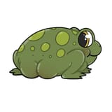 frog, marisa, froggy Frog Butt