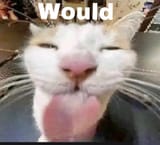 wud