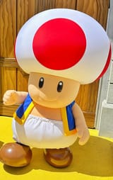 EmilyToadstool