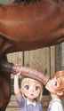 mb_horse_curiousity_thumb.jpg