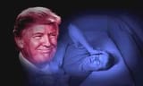TrumpRentFreeBed