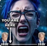 trump you are here 2024-2029 crying liberal democrat