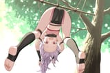 Sazanka 01