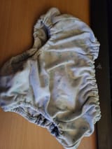 panties