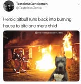 pitbull heroic 2