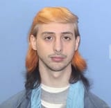 trumpmullet-shane
