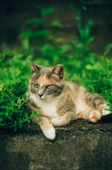 image222222