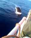 1749674238213116_thumb.jpg