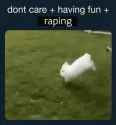 Rayp_thumb.jpg