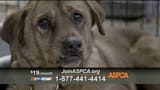 aspca-unbelievable-featuring-eric-mccormack-large-4