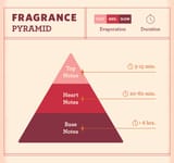 fragrance-pyramid
