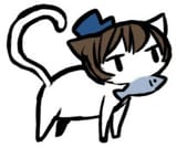 cat boku