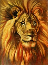 1545235056.hibbary_goldlionsketchcover