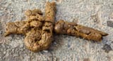 Large_pile_of_human_feces