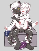 joeyzliaotang-3146197