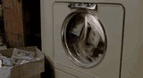 wash-money
