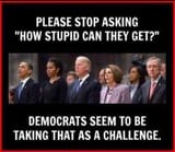 democrats take accusations of stupidity as a challenge
