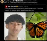 1740106241609819