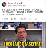 8t1capkgvu8f1