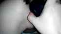 plugged_thumb.jpg