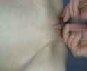 puppyslut_thumb.jpg