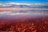 lake magadi kenya