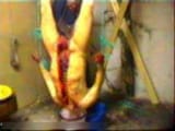 Deliciousmeat