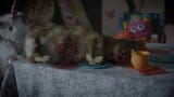 900px-ChrisChanDeadCat