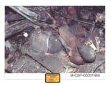 1afad5ec30d5_75631