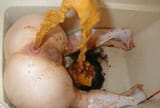 tubgirl