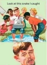1731362654493533