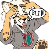 bleh in the head