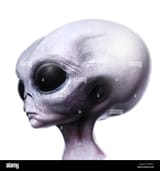 grey-alien-portrait-side-view-looking-as-though-he-is-reasoning-G8KE11