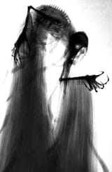 skele robe