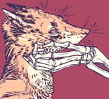 1609613540.shanikafaceless_4 skele pets the fox