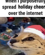 1746714123292272