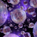 1-multiverse-artwork-detlev-van-ravenswaay