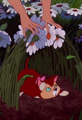 DINAH FLOWERS