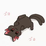 orin rolls