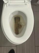 clean-cut-v0-kvnetoukjsaa1_result