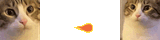 CAT (FIREBALL)