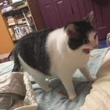 148
